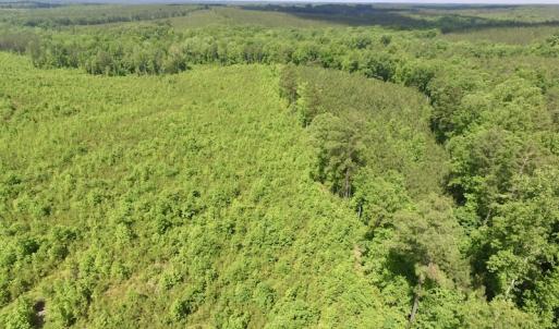 Photo #7 of SOLD property in New Grove Rd, Kenbridge, VA 56.0 acres