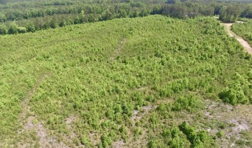 Photo #8 of SOLD property in New Grove Rd, Kenbridge, VA 56.0 acres
