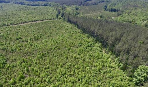 Photo #9 of SOLD property in New Grove Rd, Kenbridge, VA 56.0 acres