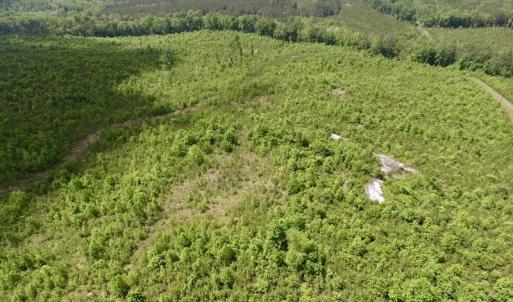 Photo #10 of SOLD property in New Grove Rd, Kenbridge, VA 58.0 acres