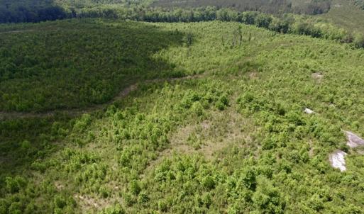 Photo #11 of SOLD property in New Grove Rd, Kenbridge, VA 58.0 acres