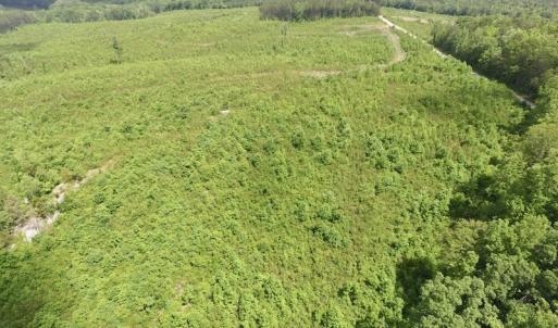 Photo #13 of SOLD property in New Grove Rd, Kenbridge, VA 58.0 acres