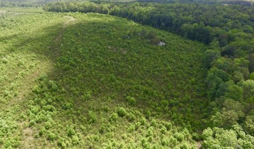 Photo #14 of SOLD property in New Grove Rd, Kenbridge, VA 58.0 acres