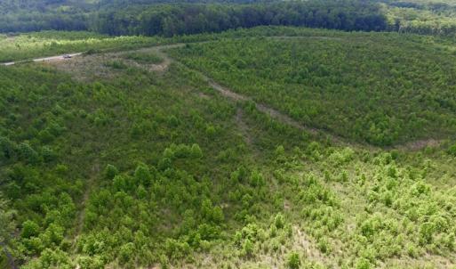 Photo #15 of SOLD property in New Grove Rd, Kenbridge, VA 58.0 acres