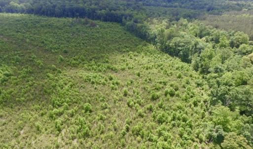 Photo #16 of SOLD property in New Grove Rd, Kenbridge, VA 58.0 acres