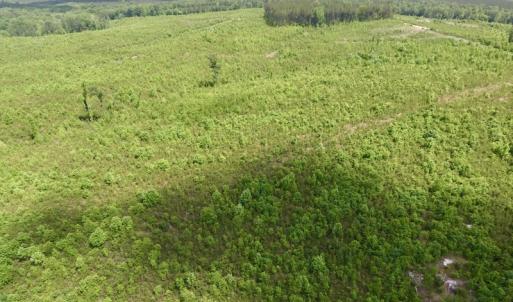 Photo #18 of SOLD property in New Grove Rd, Kenbridge, VA 58.0 acres