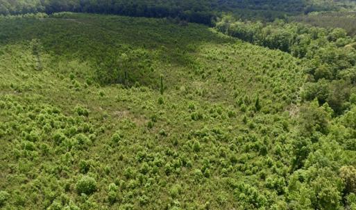 Photo #19 of SOLD property in New Grove Rd, Kenbridge, VA 58.0 acres