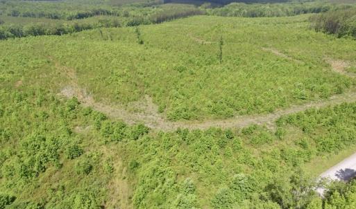 Photo #2 of SOLD property in New Grove Rd, Kenbridge, VA 58.0 acres