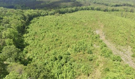 Photo #20 of SOLD property in New Grove Rd, Kenbridge, VA 58.0 acres