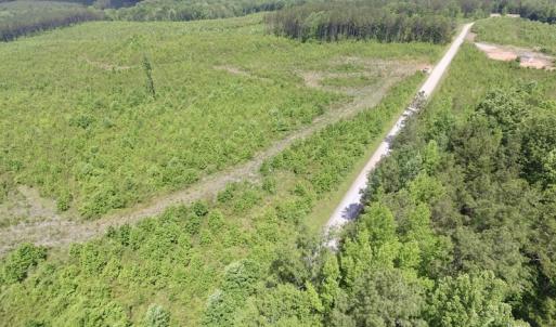 Photo #21 of SOLD property in New Grove Rd, Kenbridge, VA 58.0 acres