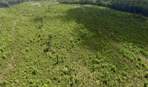 Photo #22 of SOLD property in New Grove Rd, Kenbridge, VA 58.0 acres