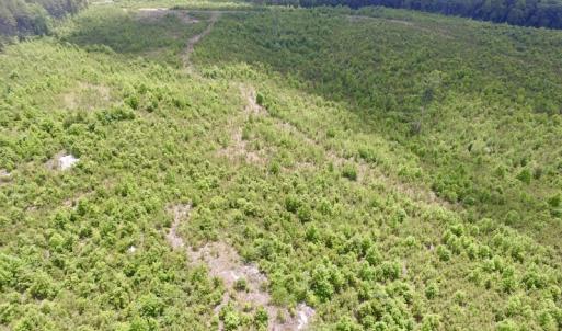 Photo #24 of SOLD property in New Grove Rd, Kenbridge, VA 58.0 acres