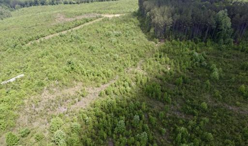 Photo #25 of SOLD property in New Grove Rd, Kenbridge, VA 58.0 acres