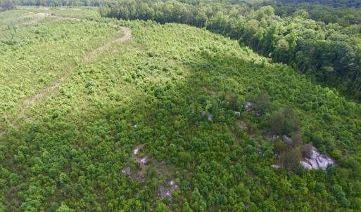 Photo #26 of SOLD property in New Grove Rd, Kenbridge, VA 58.0 acres
