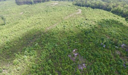 Photo #27 of SOLD property in New Grove Rd, Kenbridge, VA 58.0 acres