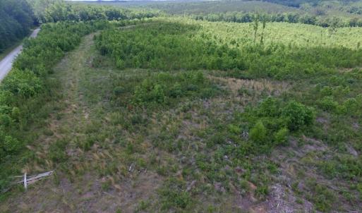 Photo #28 of SOLD property in New Grove Rd, Kenbridge, VA 58.0 acres