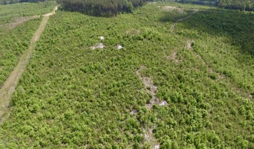 Photo #29 of SOLD property in New Grove Rd, Kenbridge, VA 58.0 acres