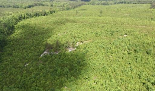 Photo #3 of SOLD property in New Grove Rd, Kenbridge, VA 58.0 acres