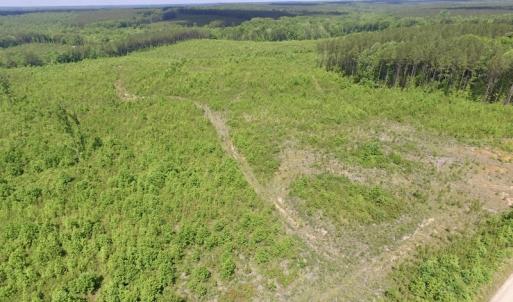 Photo #30 of SOLD property in New Grove Rd, Kenbridge, VA 58.0 acres