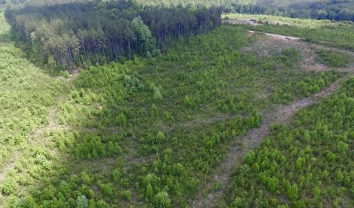Photo #32 of SOLD property in New Grove Rd, Kenbridge, VA 58.0 acres