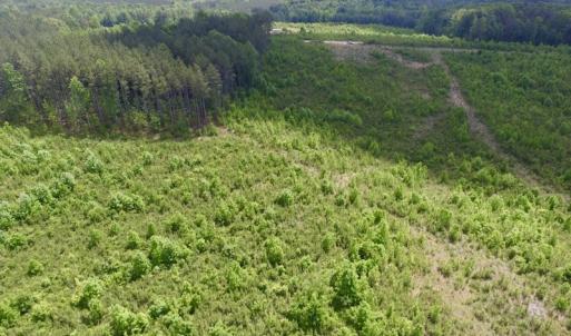 Photo #33 of SOLD property in New Grove Rd, Kenbridge, VA 58.0 acres