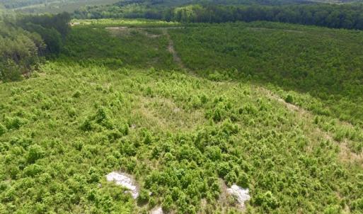 Photo #35 of SOLD property in New Grove Rd, Kenbridge, VA 58.0 acres