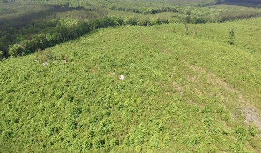 Photo #36 of SOLD property in New Grove Rd, Kenbridge, VA 58.0 acres