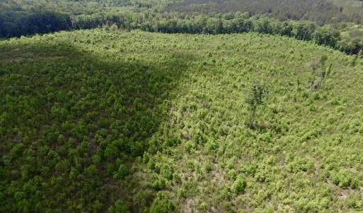 Photo #37 of SOLD property in New Grove Rd, Kenbridge, VA 58.0 acres