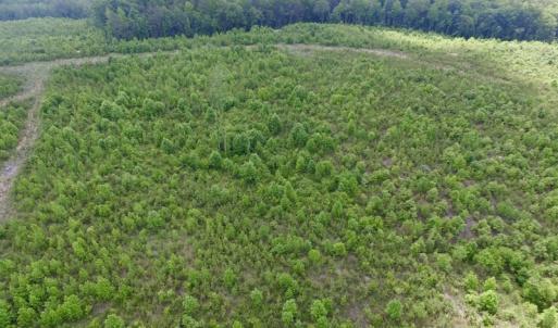 Photo #38 of SOLD property in New Grove Rd, Kenbridge, VA 58.0 acres