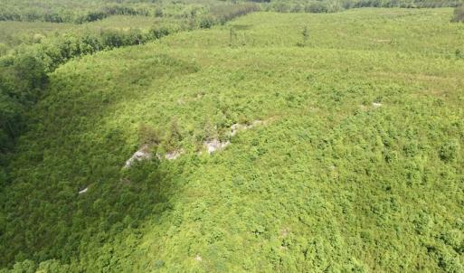 Photo #40 of SOLD property in New Grove Rd, Kenbridge, VA 58.0 acres