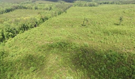 Photo #42 of SOLD property in New Grove Rd, Kenbridge, VA 58.0 acres