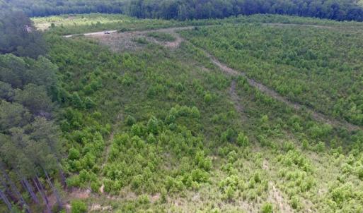 Photo #43 of SOLD property in New Grove Rd, Kenbridge, VA 58.0 acres