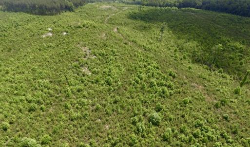 Photo #44 of SOLD property in New Grove Rd, Kenbridge, VA 58.0 acres