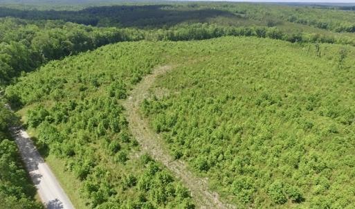 Photo #45 of SOLD property in New Grove Rd, Kenbridge, VA 58.0 acres