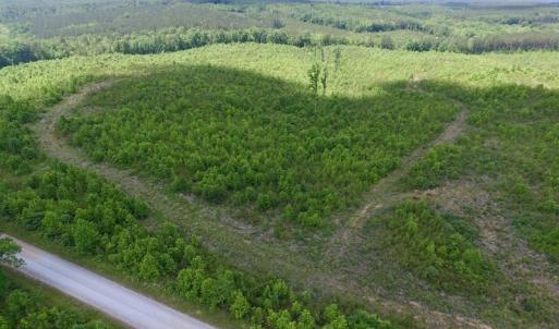 Photo #46 of SOLD property in New Grove Rd, Kenbridge, VA 58.0 acres