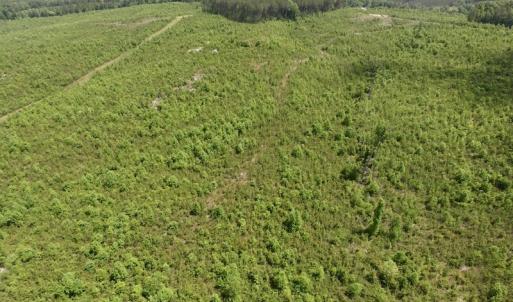 Photo #47 of SOLD property in New Grove Rd, Kenbridge, VA 58.0 acres