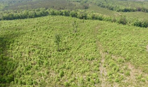 Photo #5 of SOLD property in New Grove Rd, Kenbridge, VA 58.0 acres