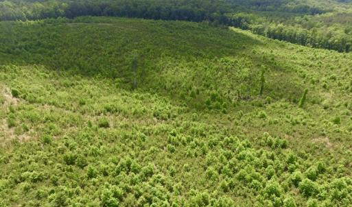 Photo #6 of SOLD property in New Grove Rd, Kenbridge, VA 58.0 acres