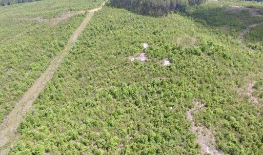Photo #7 of SOLD property in New Grove Rd, Kenbridge, VA 58.0 acres