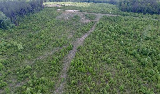 Photo #8 of SOLD property in New Grove Rd, Kenbridge, VA 58.0 acres