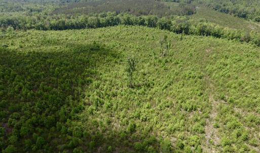 Photo #9 of SOLD property in New Grove Rd, Kenbridge, VA 58.0 acres