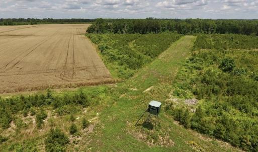 Photo #32 of SOLD property in 8510 Gates Road, Suffolk, VA 650.0 acres