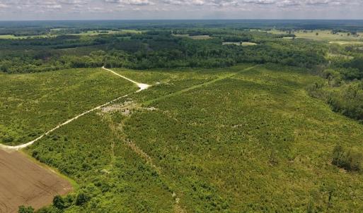 Photo #33 of SOLD property in 8510 Gates Road, Suffolk, VA 650.0 acres
