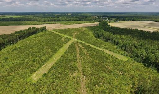 Photo #34 of SOLD property in 8510 Gates Road, Suffolk, VA 650.0 acres