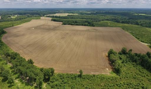 Photo #36 of SOLD property in 8510 Gates Road, Suffolk, VA 650.0 acres