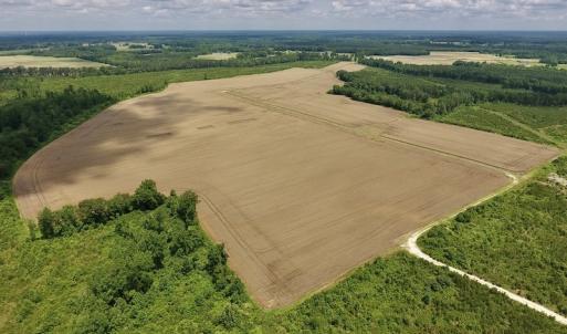 Photo #37 of SOLD property in 8510 Gates Road, Suffolk, VA 650.0 acres