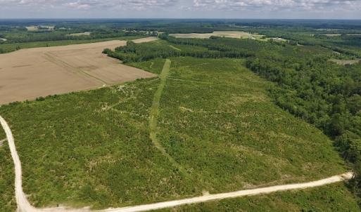 Photo #38 of SOLD property in 8510 Gates Road, Suffolk, VA 650.0 acres