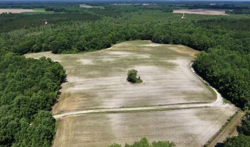 Photo #39 of SOLD property in 8510 Gates Road, Suffolk, VA 650.0 acres