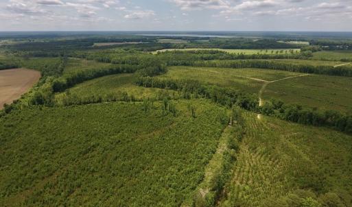 Photo #41 of SOLD property in 8510 Gates Road, Suffolk, VA 650.0 acres