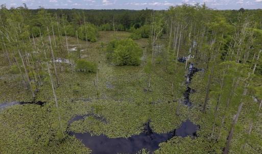Photo #42 of SOLD property in 8510 Gates Road, Suffolk, VA 650.0 acres